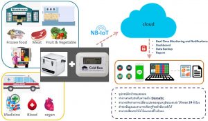 Solution Cold condition monitoring for good health