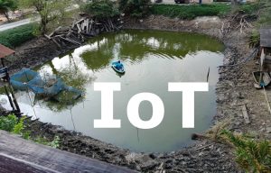 การประยุกต์ใช้ Internet of Things ในการตรวจวัดออกซิเจนละลายในน้ำร่วมกับการใช้กังหันบำบัดน้ำเสีย ด้วยพลังงานแสงอาทิตย์