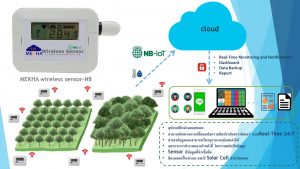 ประยุกต์ใช้ IoT กับป่าไม้ เพื่อติดตามระดับ CO2 อุณหภูมิ และความชื้น