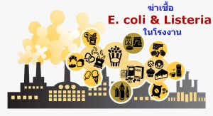 ฆ่าเชื้อ E. coli & Listeria ในโรงงานด้วย RGF’s Advanced Oxidization Technology